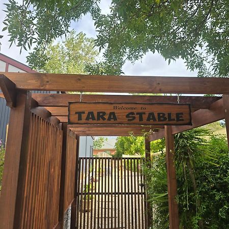 Tara Stables Villa Littlehampton Kültér fotó